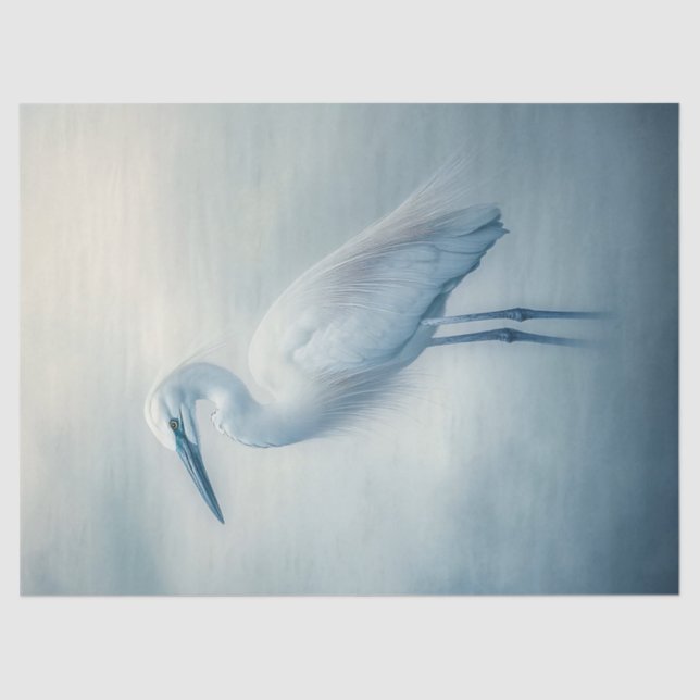 Papel De Seda Egret na desacoplagem de nevoeiro (Frente )