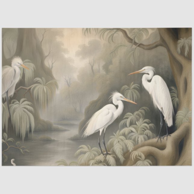 Papel De Seda Egrets na Natureza (Frente )