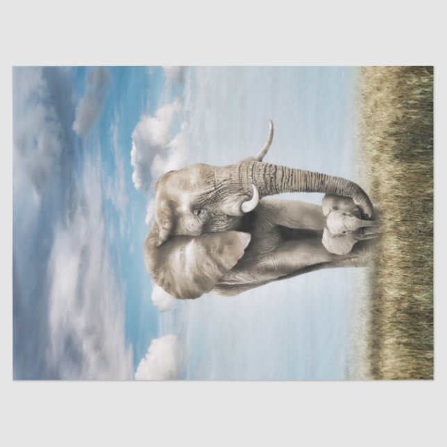 Papel De Seda Elefante Bebê Atormentado (Frente )