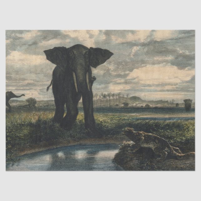 Papel De Seda Elefantes e Pantera no Deserto Indiano (Frente )