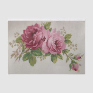 Papel De Seda Elegância do Rosa de couve de Vintage