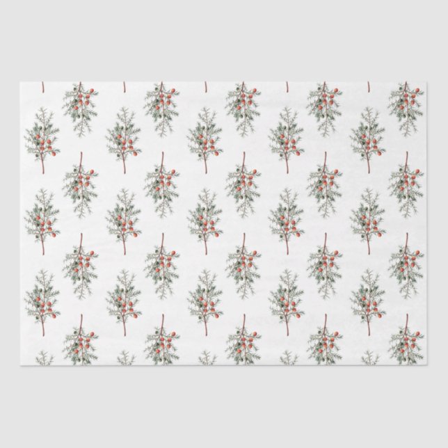 Papel De Seda Elegant Evergreen Branches Scandi Tissue Paper (Frente )