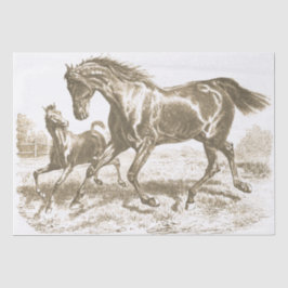 Papel De Seda Elegante Cavalo Vintage Mare Foal Love