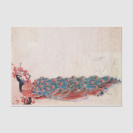 Papel De Seda Elegante Peacock