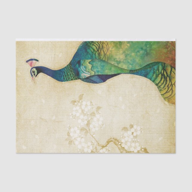 Papel De Seda Elegante Peacock (Frente )