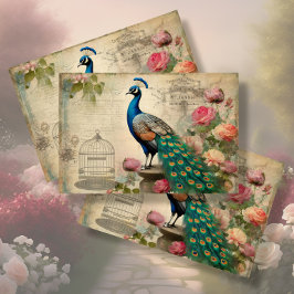 Papel De Seda Elegante Peacock Birdcage - Dissociação Floral Eph