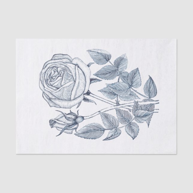 Papel De Seda Elegante Rosa azul de vindima botânica (Frente )