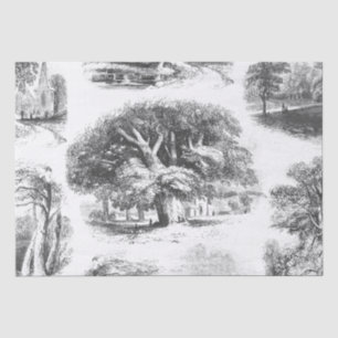 Papel De Seda Elegante Vintage Black White Big Tree Toile