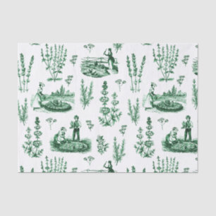 Papel De Seda Elegante Vintage Herbal Garden Sage Green Toile