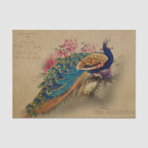 Papel De Seda Elegante Vintage Peacock