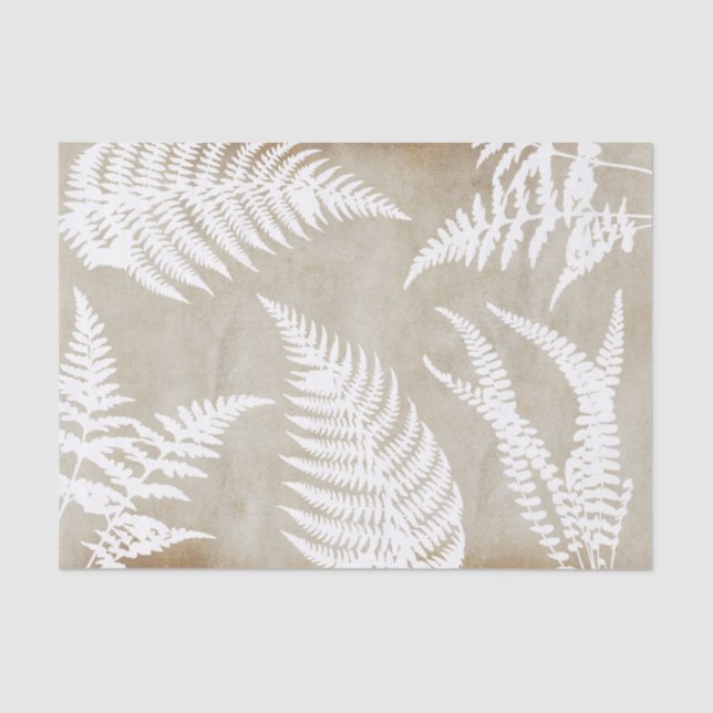 Papel De Seda Elegante White Fern sobre o Kraft Paper (Frente )