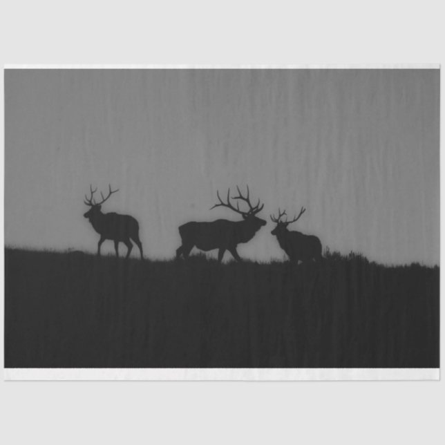 Papel De Seda Elk 1 (Frente )