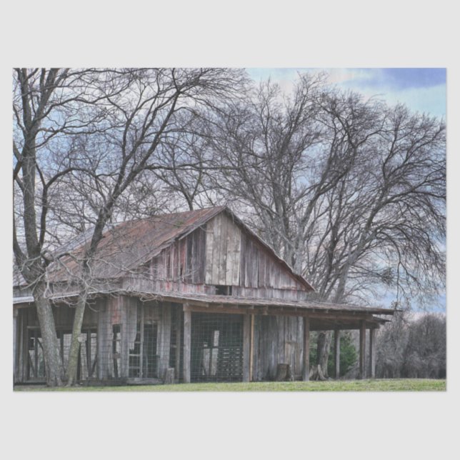 Papel De Seda Em ruínas, celeiros de madeira com árvores nuas ci (Frente )