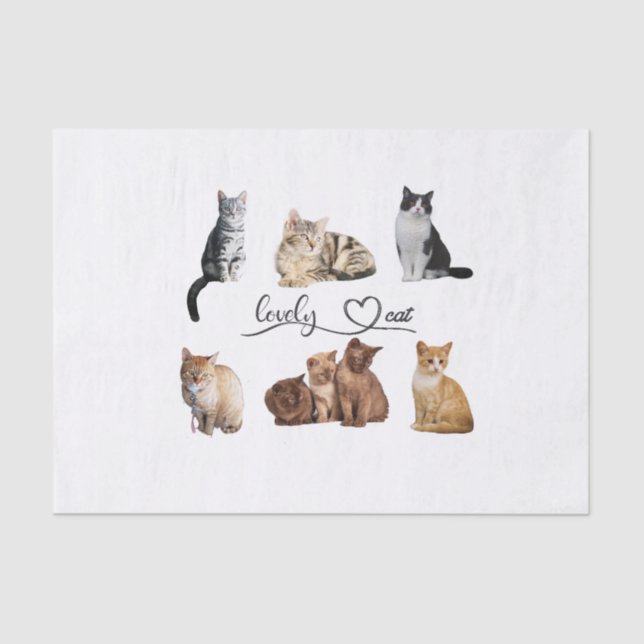 Papel De Seda Embalagem de gatos, Encapsulamento de gatos engraç (Frente )