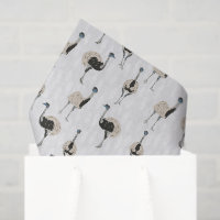 Emus Bird Patternos