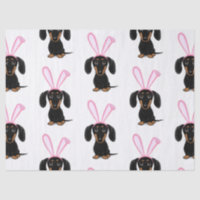 Engraçado Páscoa, Coelhinho Negro e Tan Dachshund