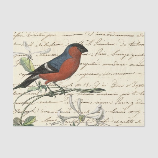 Papel De Seda Ephemera Bird e Script (Frente )