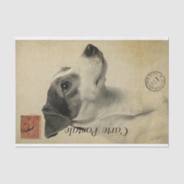 Papel De Seda Ephemera - Cartão-postal francês Jack Russel Terri