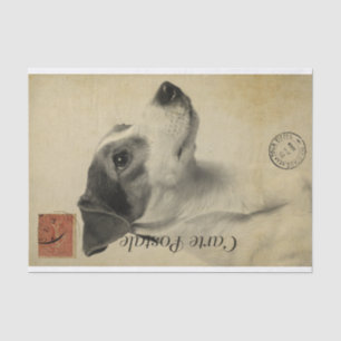 Papel De Seda Ephemera - Cartão-postal francês Jack Russel Terri