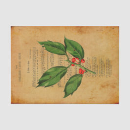 Papel De Seda Ephemera Christian Song A Babe é Nascer Decoupage