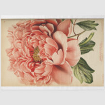 Ephemera Discutpage Pink Peony Floral