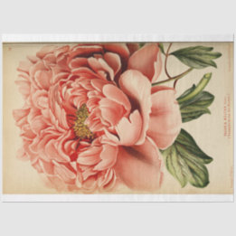 Papel De Seda Ephemera Discutpage Pink Peony Floral