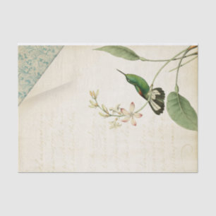 Papel De Seda Ephemera Elegante De Hummingbird