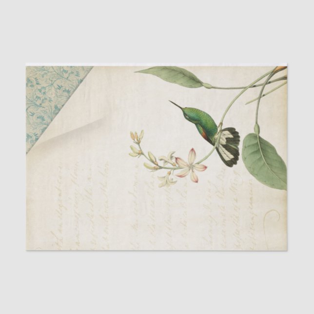Papel De Seda Ephemera Elegante De Hummingbird (Frente )
