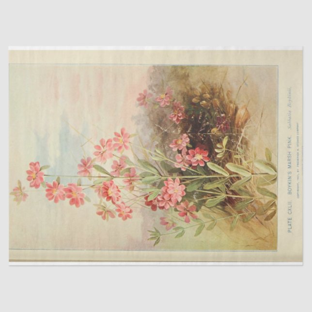 Papel De Seda Ephemera Floral Decoupage Rosa Daisy (Frente )