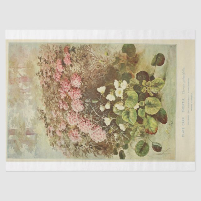 Papel De Seda Ephemera Floral Descamação Hidrangas Rosa (Frente )