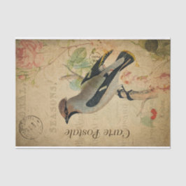 Papel De Seda Ephemera Francês Cartão Postal Waxwing Bird Decoup