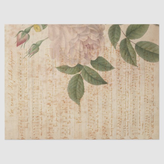 Papel De Seda Ephemera French Paper Series Design 10 (Frente )