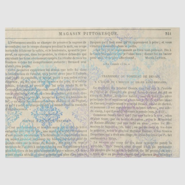 Papel De Seda Ephemera French Paper Series Design 13 (Frente )