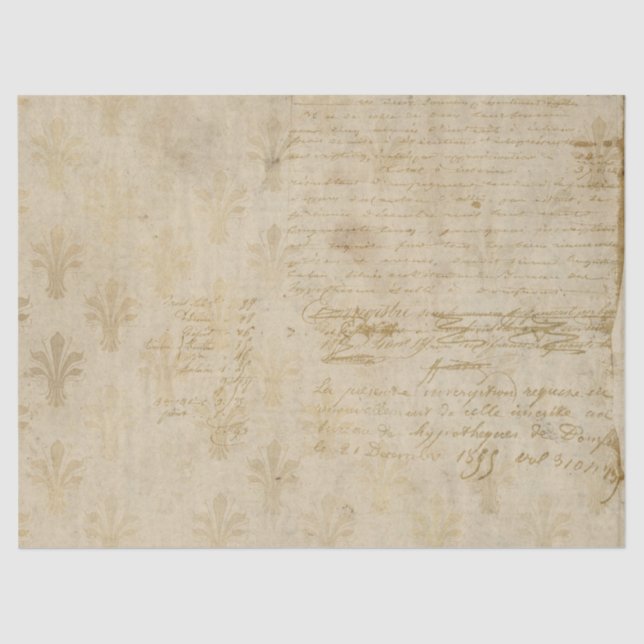 Papel De Seda Ephemera French Paper Series Design 6 (Frente )