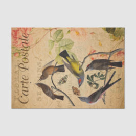 Papel De Seda Ephemera French Postcard Flycatcher Bird Decoupage
