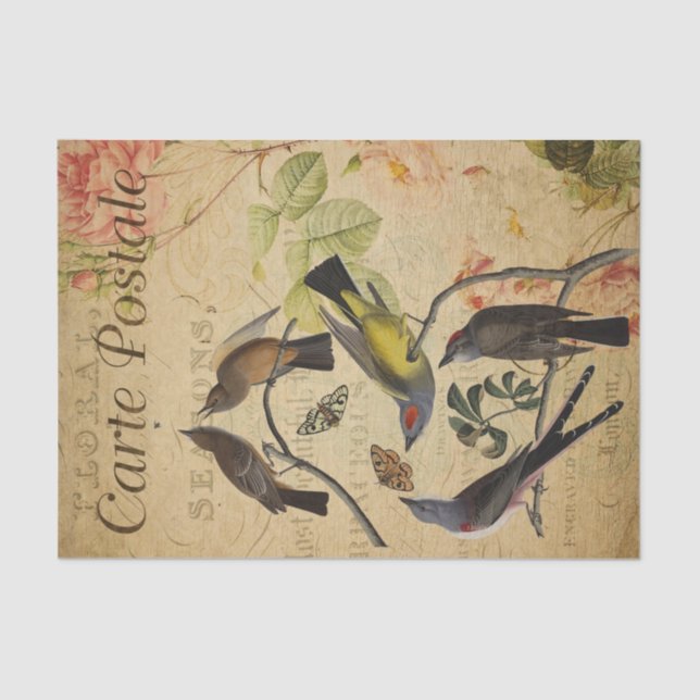 Papel De Seda Ephemera French Postcard Flycatcher Bird Decoupage (Frente )