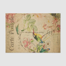 Papel De Seda Ephemera French Postcard Kingfisher Bird Decoupage