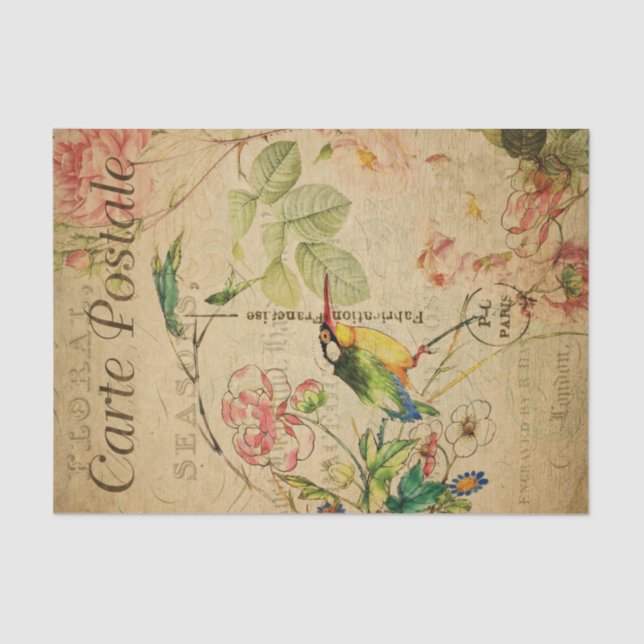 Papel De Seda Ephemera French Postcard Kingfisher Bird Decoupage (Frente )