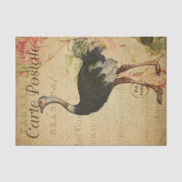 Papel De Seda Ephemera French Postcard Ostrich Decoupage