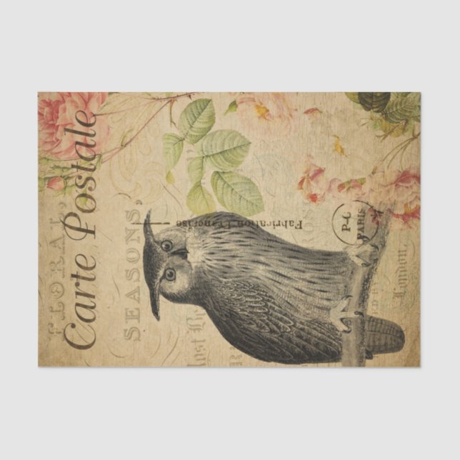 Papel De Seda Ephemera French Postcard Owl Pink Roses Decoupage (Frente )