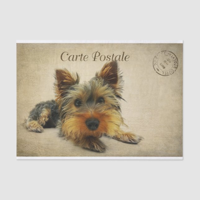 Papel De Seda Ephemera French Postcard Terrier Dog Decoupage (Frente )