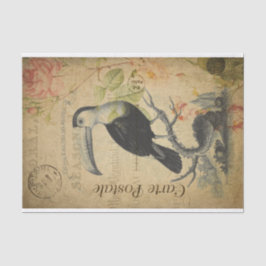 Papel De Seda Ephemera French Postcard Toucan Bird Decoupage
