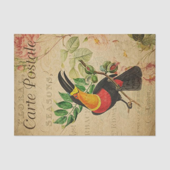 Papel De Seda Ephemera French Tropical Toucan Bird Decoupage (Frente )