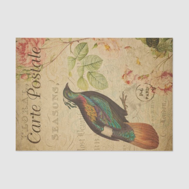 Papel De Seda Ephemera Himalayan Monal Pheasant Bird Decoupage (Frente )
