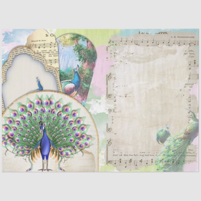 Papel De Seda Ephemera Peacock 6 (Frente )