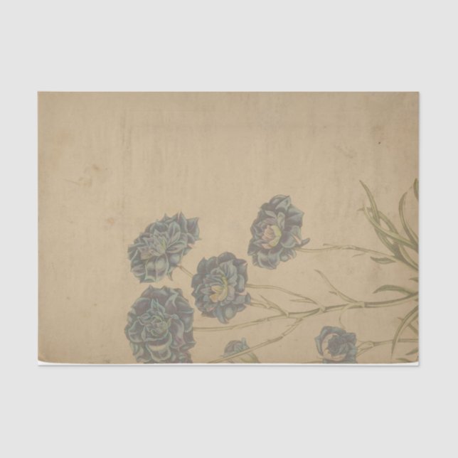 Papel De Seda Ephemera Sheet Design Series nº 1 (Frente )