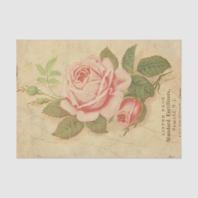 Papel De Seda Ephemera Sheet Design Series nº 10 (Frente )