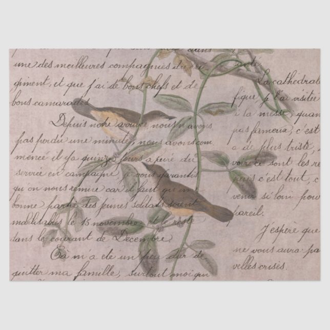 Papel De Seda Ephemeral Birds Series Design cinco (Frente )