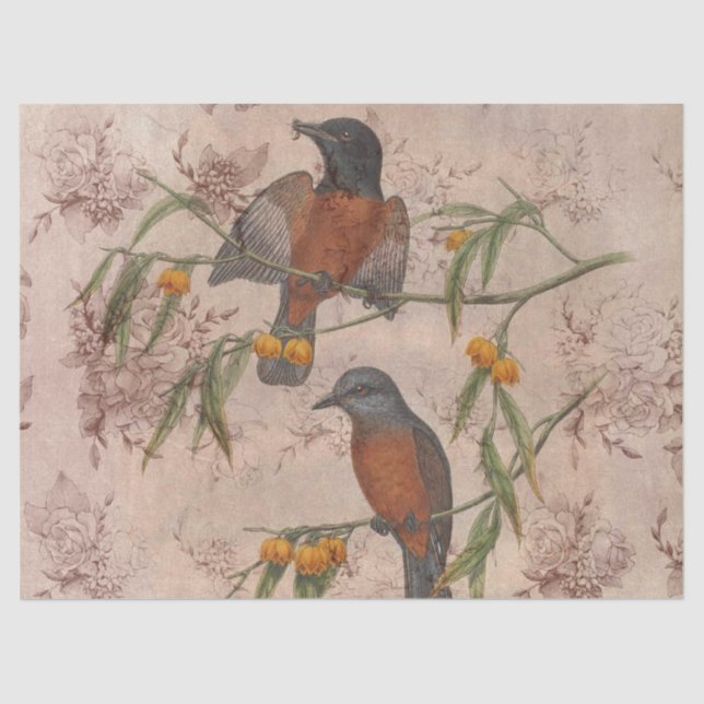 Papel De Seda Ephemeral Birds Series Design Três (Frente )