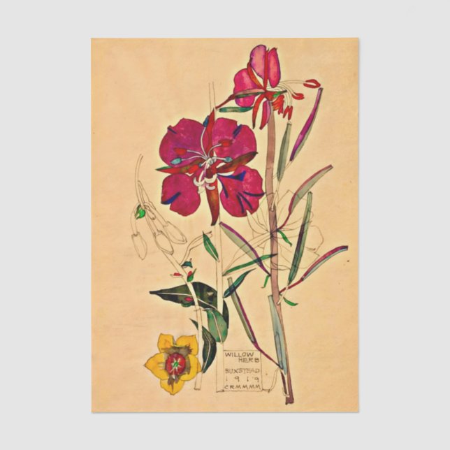 Papel De Seda Epilóbio por Charles Mackintosh (Frente )